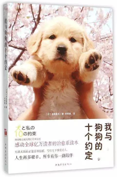 与狗的协议_1200字