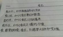 看见_600字