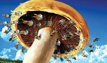 生命花园_1000字