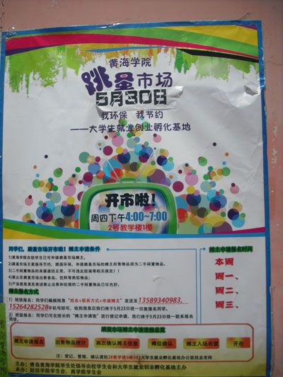 活泼的小跳蚤市场_450字