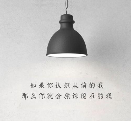 看灯_200字