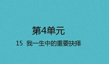 重要的抉择_900字