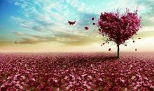 关于秋天的作文：秋叶•护花_900字