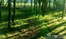 关于秋天的作文：初秋_350字