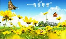 青春的细节_800字