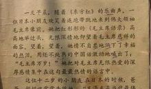 关于感动的作文：感动_900字