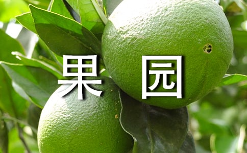 关于秋季果园成分：秋季乌拉德_300字