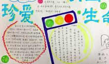 珍爱生命，安全第一_450字