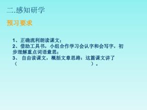 我被称为21世纪_300字