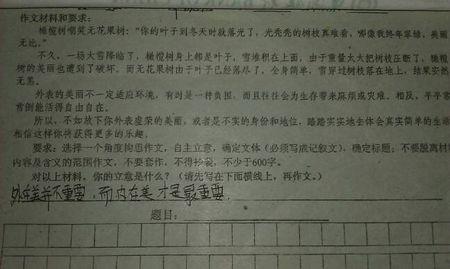 雪上的构图：暴风雪和阳光_800字