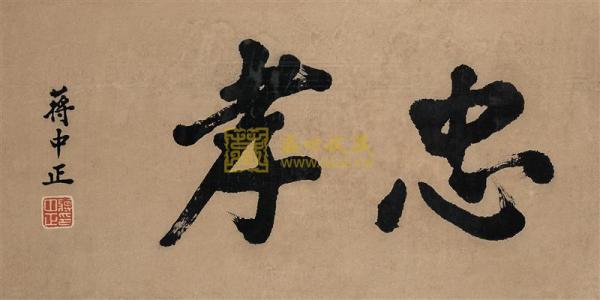 乌龟美美新合作伙伴_400字
