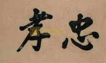 龟美子的新伙伴_400字