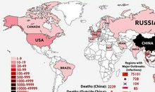 小狐狸求学记_800字