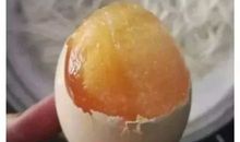 可怜的豹老兄_450字