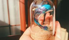 幸福的小海豚_650字