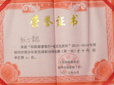 孙收获 - 我在羽毛球游戏中得到第二名_200字