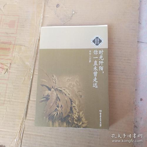 时间是歌曲_200字