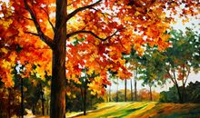 晒秋天——许你一夜红枫_200字