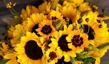 励志优美段落：青春段落_750字