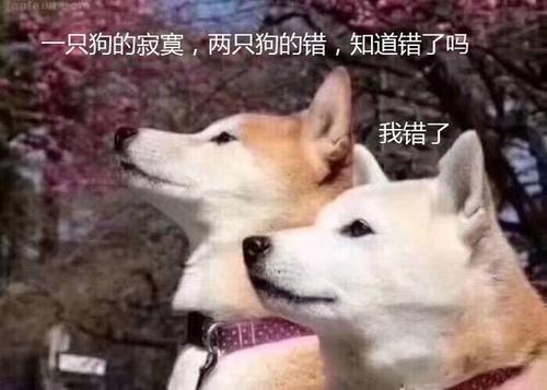 狗，我错了！ _450字