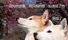 狗狗，我错了！_450字