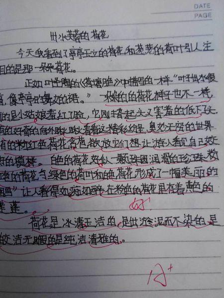 你为什么不懂_300字
