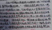 你怎麼也不會懂_300字