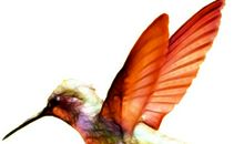 [PK赛]关于“__的滋味”的作文：甜的滋味_450字