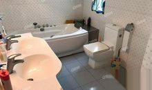 玫瑰花园（三）_500字