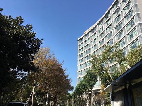 城市记忆的伤害_200字