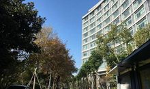 倾城记忆的伤_200字