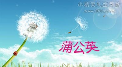 [PK Tour]关于理想的成分：再见，我的蒲公英...... _900字