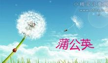 [PK赛]关于理想的作文：再见了，我的蒲公英……_900字