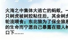 走进音响世界_450字