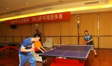 暑假里的乒乓球赛_500字