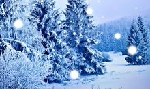 抒情哲理散文：美丽的渭源_900字