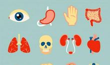 关于爱护眼睛的作文：眼睛、耳朵、鼻子和嘴_650字