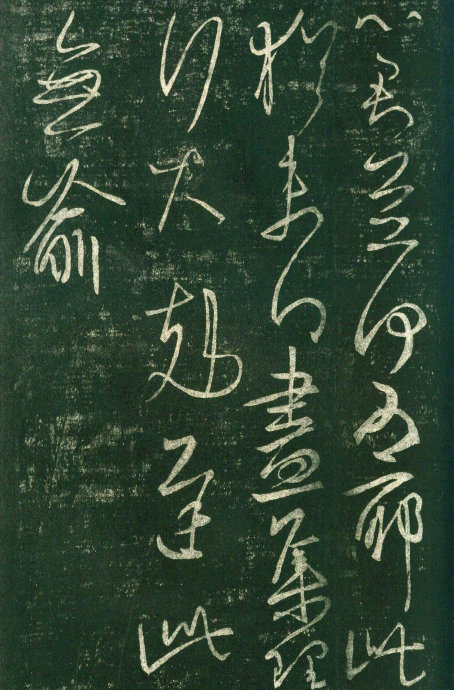 清华花园_500字