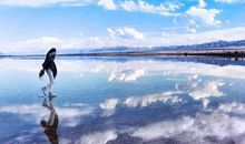 思绪在青海湖漫步_800字