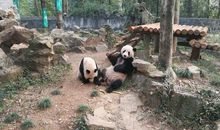 杭州动物园_400字