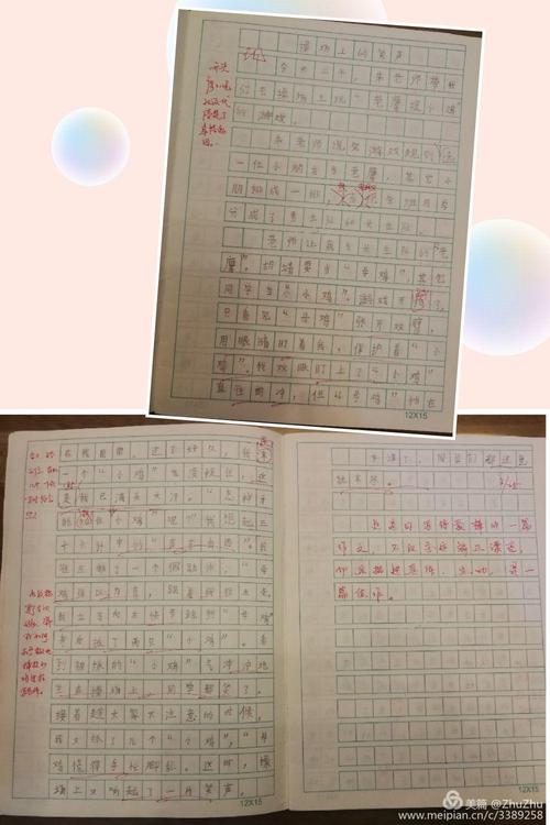 记忆的构成：童年回忆_1000字