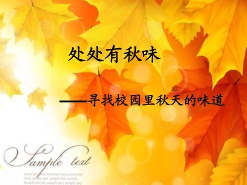 秋天的校园组成：秋季校园_650字