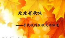 关于秋天的校园作文：秋天的校园_650字