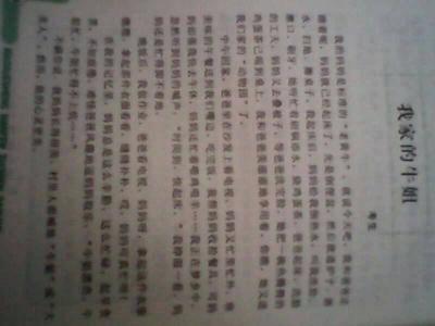 有一种称为责任的爱_600字