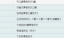 寒假征文：这个除夕夜_700字