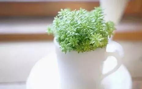 谈论生活和感受_900字