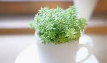 谈人生感悟_900字