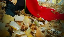 我从这里走过_1200字