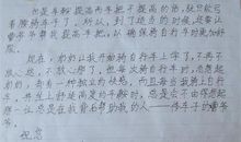 给舅舅的一封信_450字