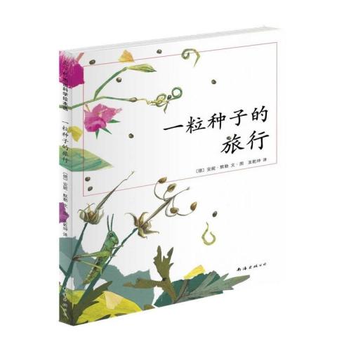 我是一个逼真的小种子_700字